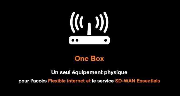 One Box sdwan One Box sdwan