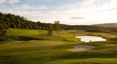 175x95_haga-golf-2.png 