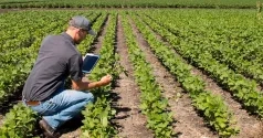 800x420_agriculturenumerique-image.jpg