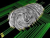 8180-lines_-___V._Yakobchuk_-_Fotolia.com.jpg
