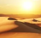 8496-desert_-___Galyna_Andrushko_-_Fotolia.com.jpg