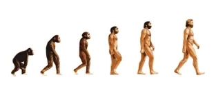 8973-evolution_-___Floki_Fotos_-_Fotolia.com.jpg