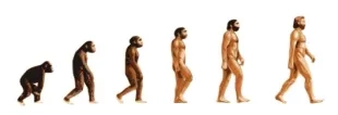 9221-evolution_-___Floki_Fotos_-_Fotolia.com530x182.jpg