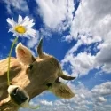 fotolia_43416276_xscdoris_oberfrank-list_260x260.jpg
