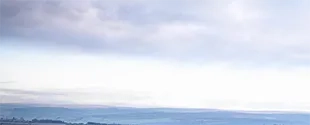 Banner.png