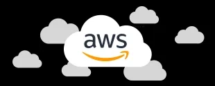 Amazon2