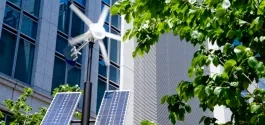 insights_sustainability