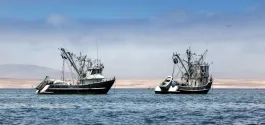 mag_fishing