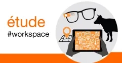 etude_vignette_workspace.jpg