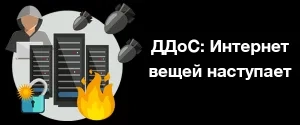 ddos.png