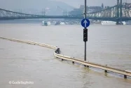 disaster.jpg